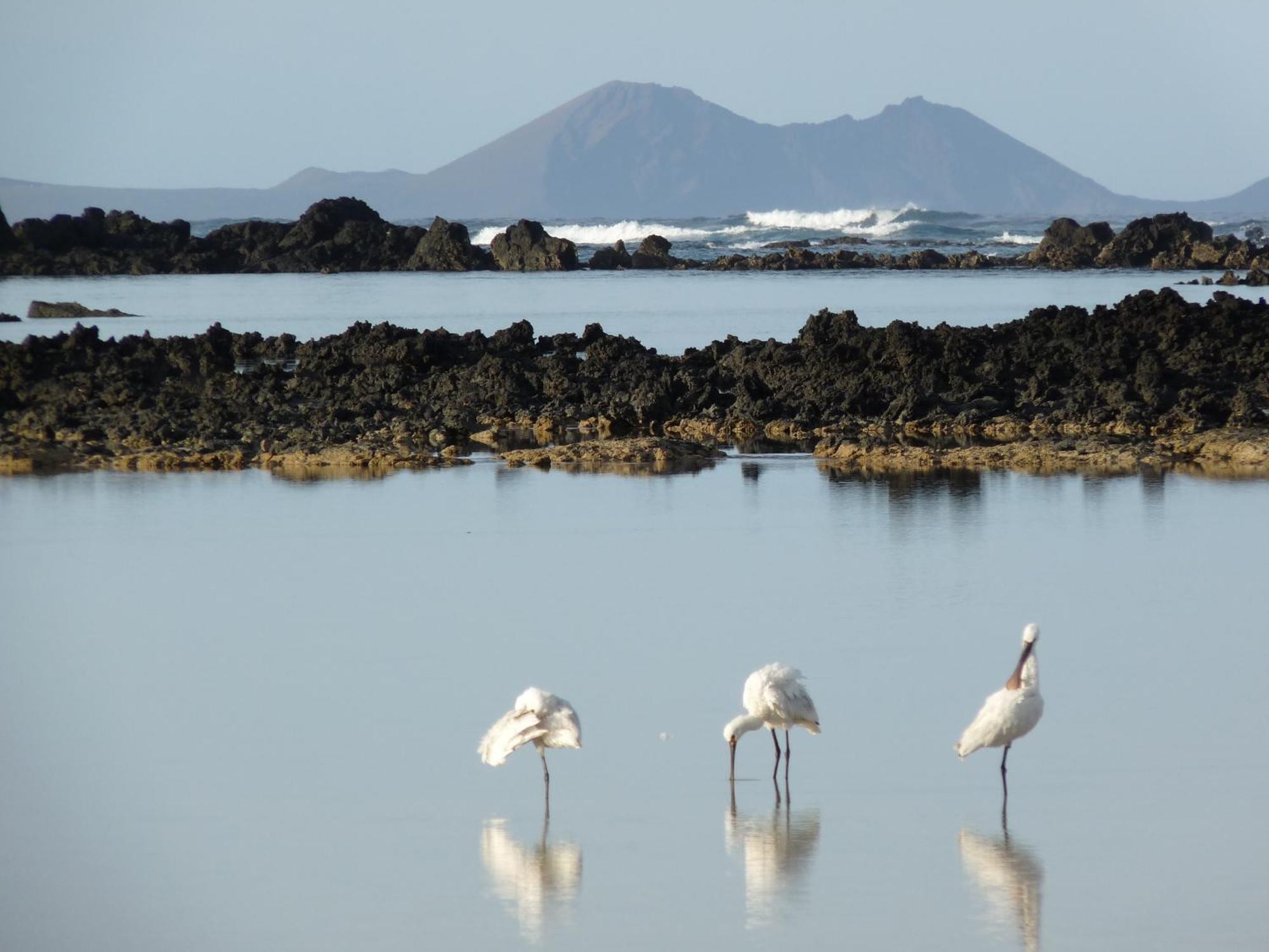 Casa Ana Y El Mar - Para Enamorados Del Mar - Lanzarote 테기세 외부 사진